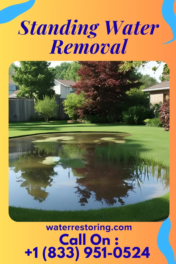 Standing Water Removal in Port Angeles, WA
